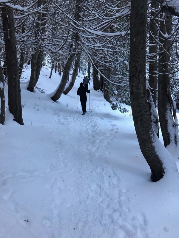 Winter vacation in Percé